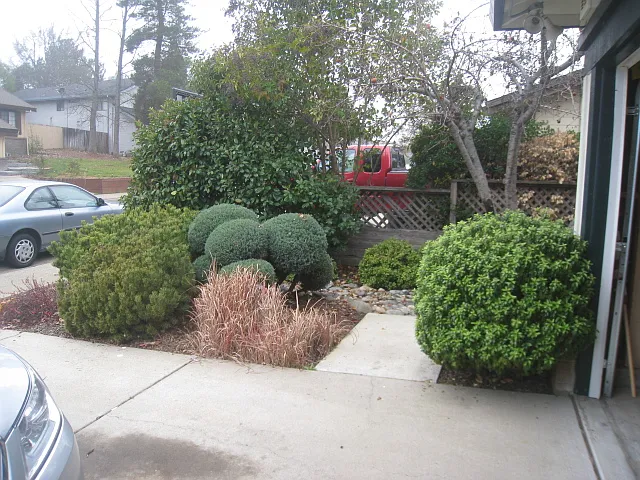 Northwind Way — Photo 2