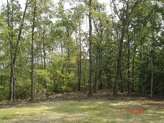 View to the back 