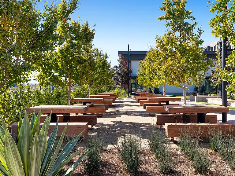 Picnic Tables