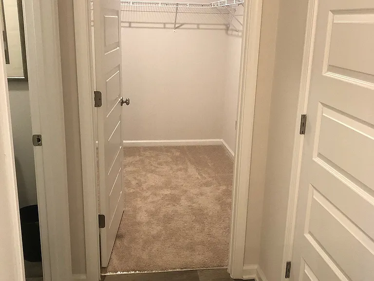 5934 Laurel Oak Dr — Photo 8