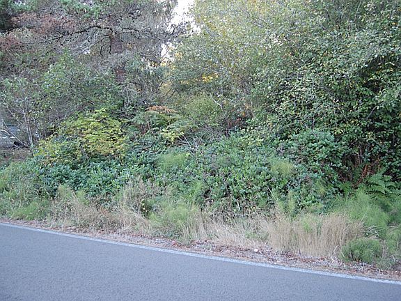 2nd image of 767 Duck Lake Dr NE