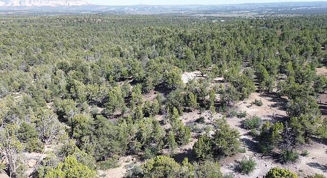 1st image of Mile 51 Hwy E #9