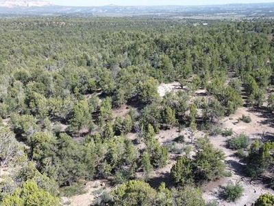 Mile 51 Hwy E #9, Orderville, UT, 84758