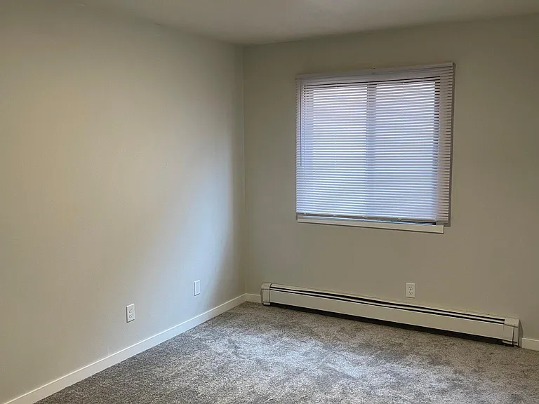 420 S Van Buren St #4 — Photo 9