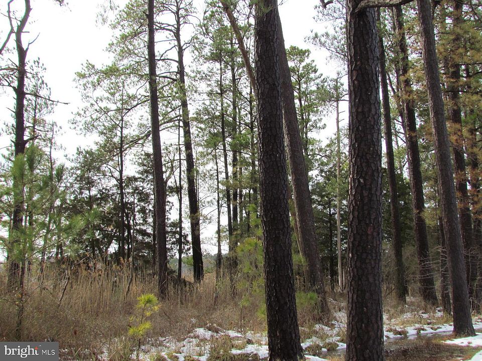 2nd image of Piney Point Rd