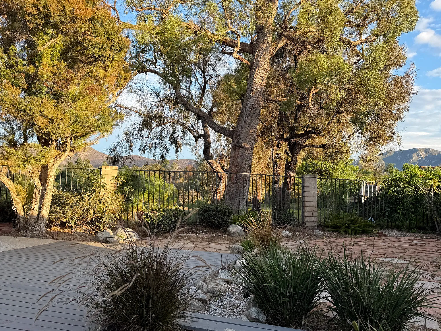 3 bed, 1459 sqft, $3,850 — Photo 4