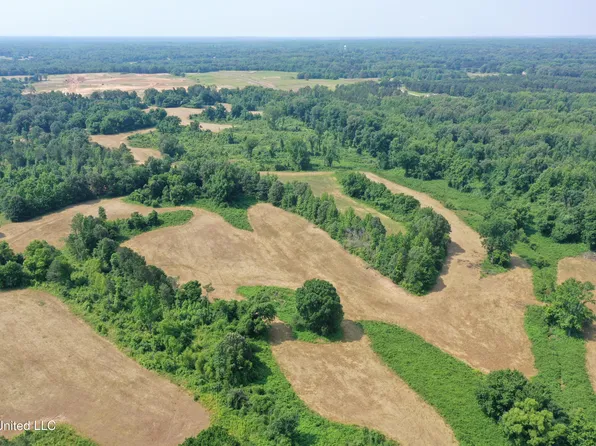 101 Baldwin Rd, Lake Cormorant, MS 38641