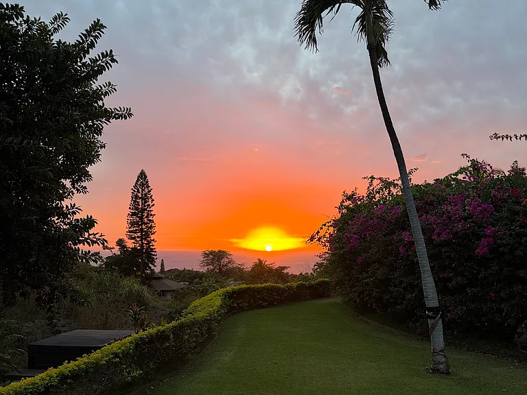 Waileia Pl — Photo 15