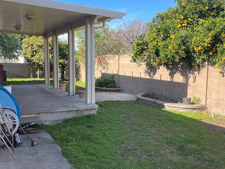Backyard.