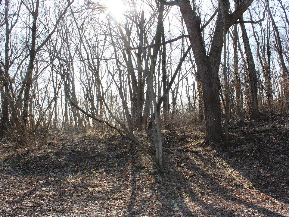 1st image of Lt1 Mountain Ln