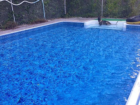 36'x18' inground salt water