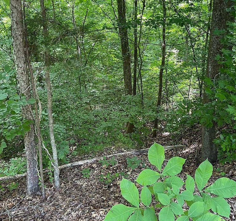 2nd image of Lot21&21 Beechwood