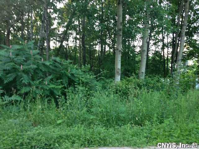 1st image of 0 Valley Dr