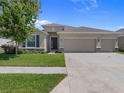 13393 GOLDEN LIME AVENUE, Spring Hill, FL, 34609