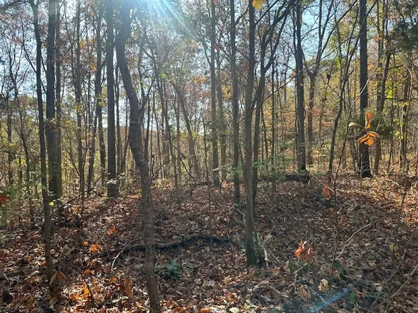 93 Ridgetop Dr, Bon Aqua, TN 37025