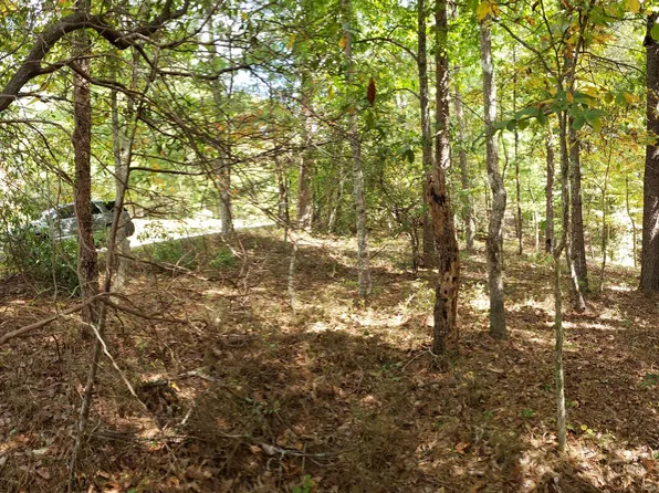 89 Zeppelin Strasse, Helen, GA 30545