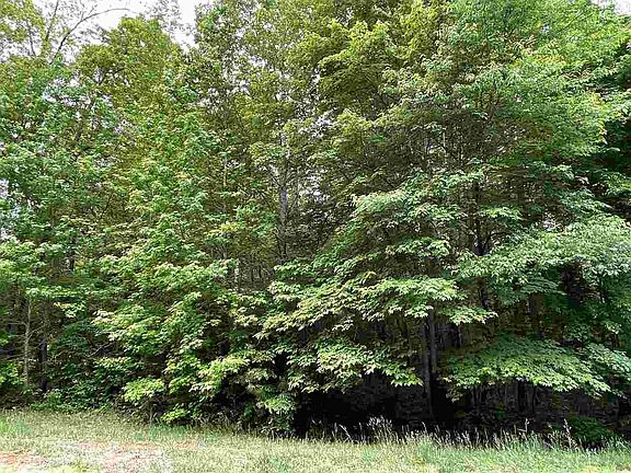 3rd image of Fox Hill Farm Dr Lot 188