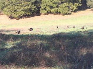 4833 Chiles Pope Valley Rd, Saint Helena, CA 94574