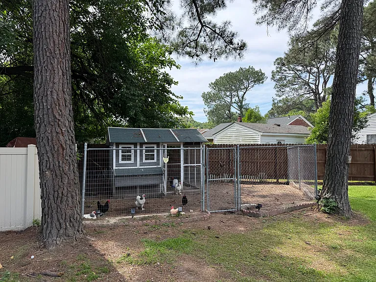 409 Kemp Ln — Photo 29