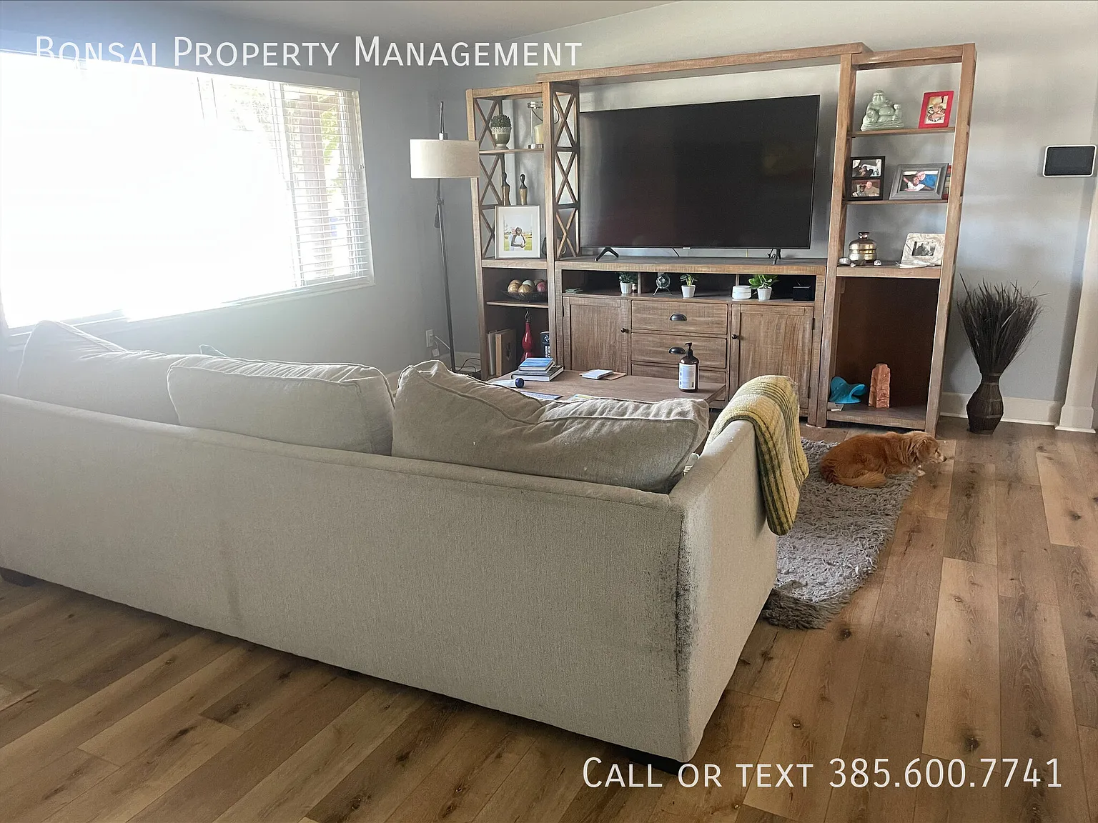 Updated and Renovated Single Family Home — Photo 4