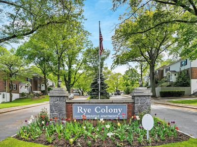 3 Peck Avenue #313A, Rye, NY, 10580