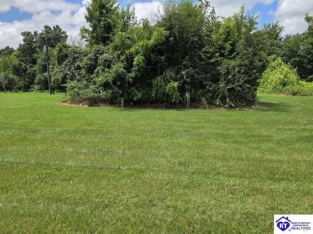 2nd image of TRACT 2 Peonia Rd