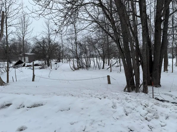 L68 1/2 #67, Mc Millan, MI 49853