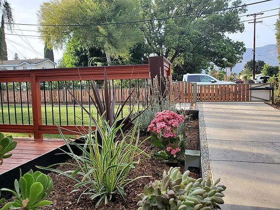 Front yard and common driveway