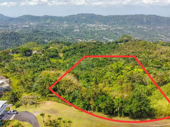 1 Camino Hormigas, Aguas Buenas, PR 00703