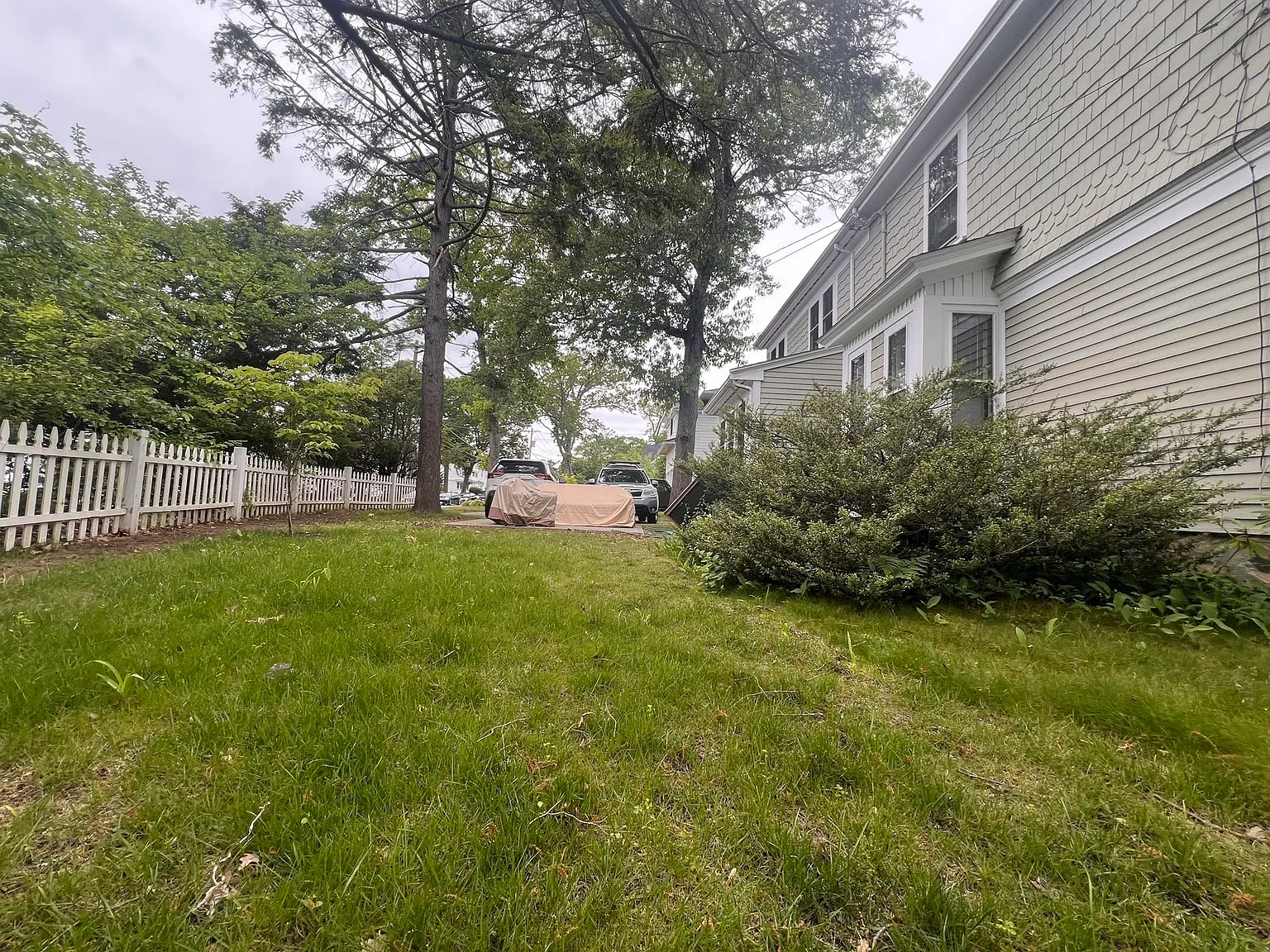 3 bed, 1.5 bath, 1000 sqft, $3,750 — Photo 3