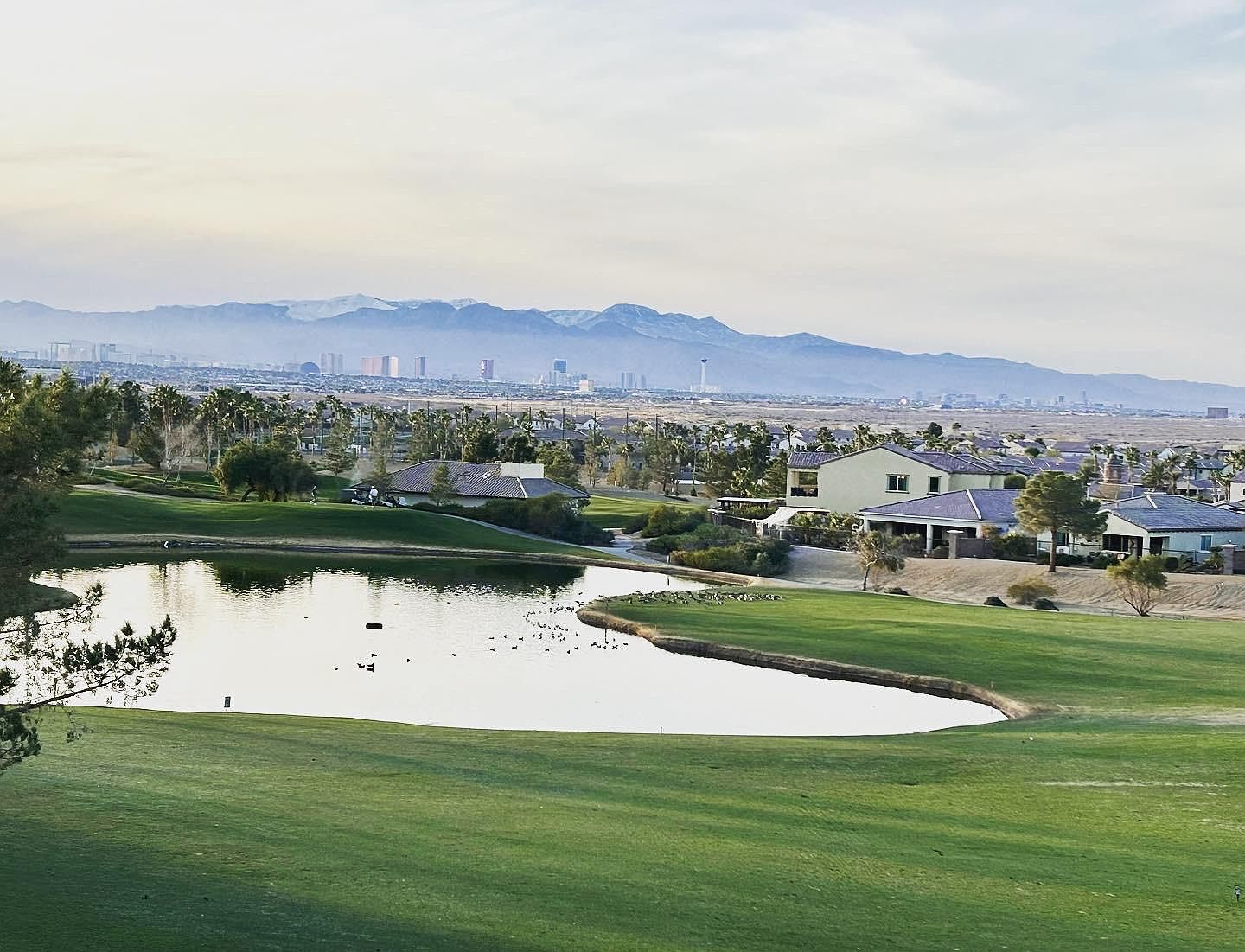 1005 Via Panfilo Ave, Henderson, NV 89011 Zillow