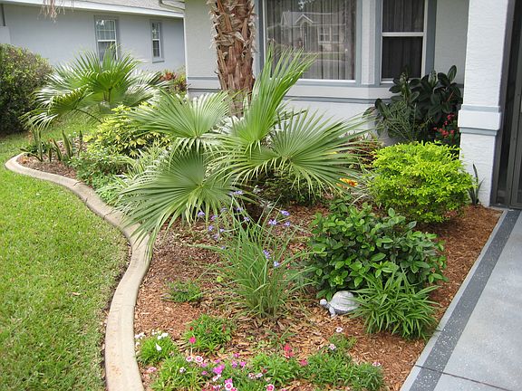 front garden