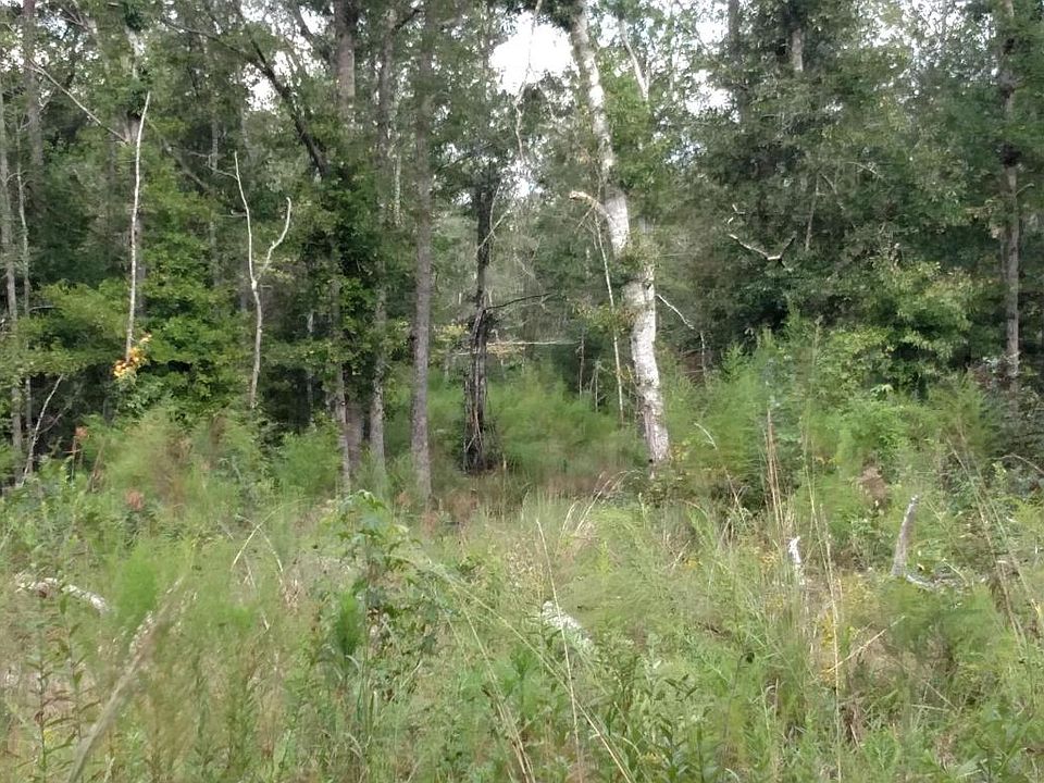 2nd image of 209 Old Beech Hill Rd