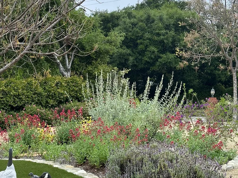 Front Yard Spring