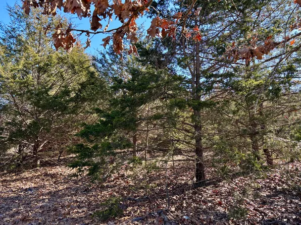 3704 Newton Pass Road, Mansfield, MO 65704