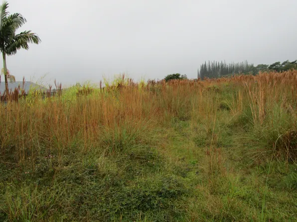 18-1215 Ekena St Lot 7, Mountain View, HI 96771