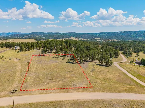 014 County Rd 403, Florissant, CO 80816