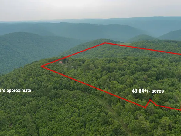 4079 Dry Run Rd, Swanton, MD 21561
