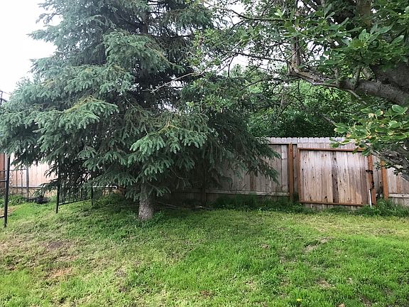Fenced yard mature pine
