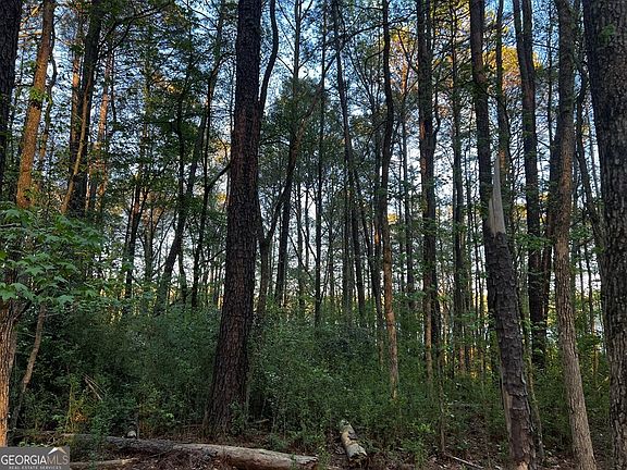 3rd image of 203 View Pointe Ln