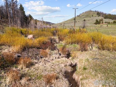 6651 W County Road 68c, Red Feather Lakes, CO, 80545