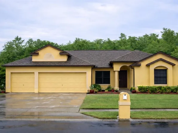 19161 Timber Pine Ln, Orlando, FL 32833