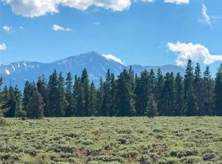 Elk Rd LOT 3, Leadville, CO 80461