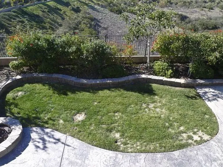 7183 Primrose Ln — Photo 21