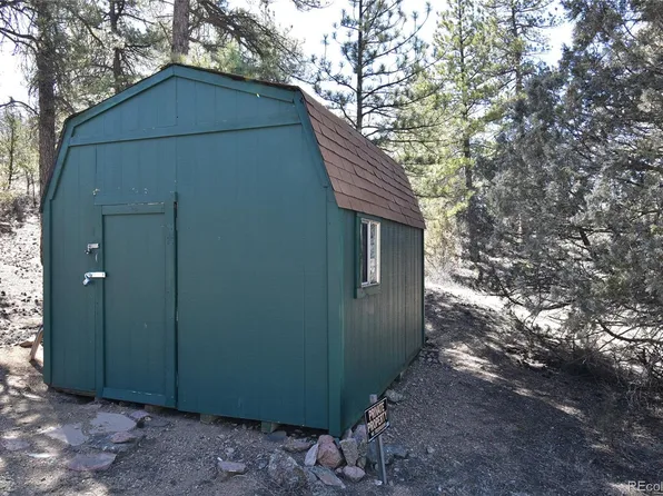 483 Coyote Run LOT 439, Cotopaxi, CO 81223