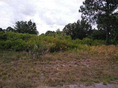 pic-3
