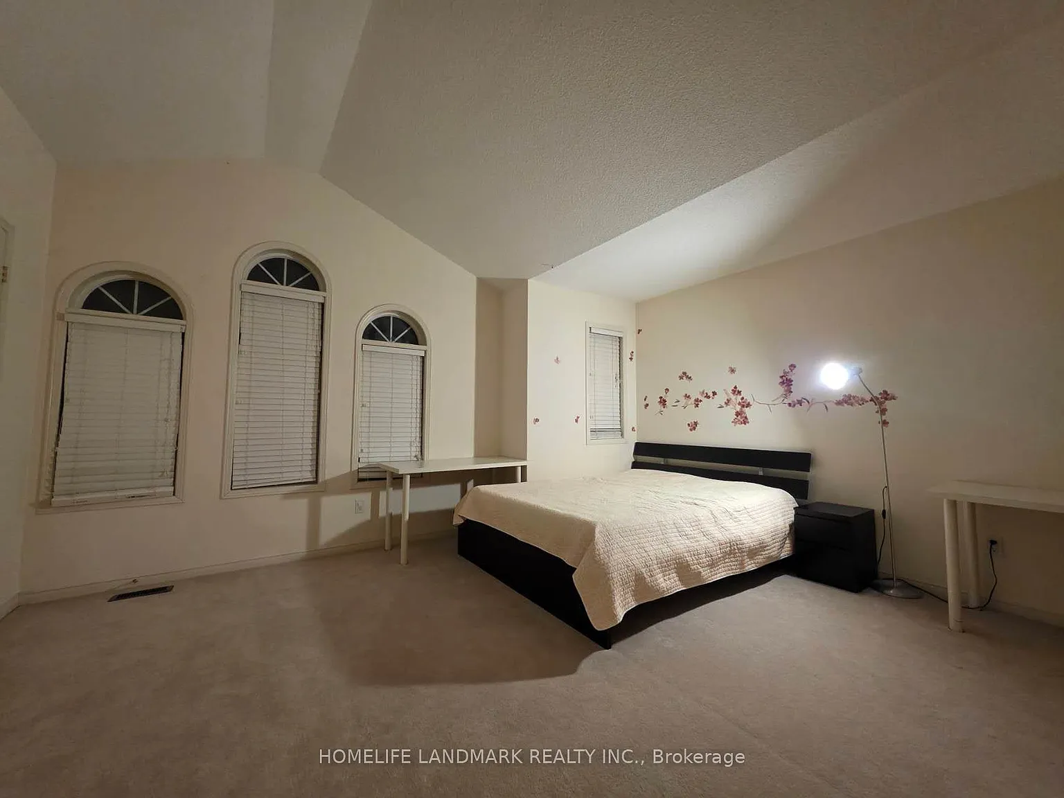 1 bed, $800 — Photo 3