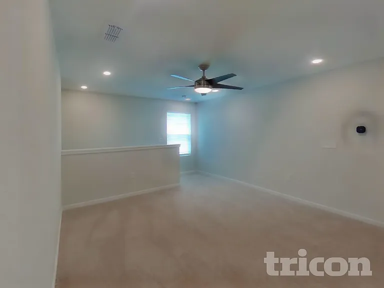 56 Brazil Nut Cir — Photo 16