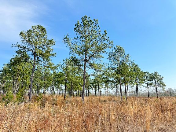 4th image of Pearlie Rd Lot Wp001