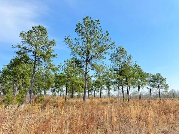 Pearlie Rd Lot Wp001, Hamer, SC 29547